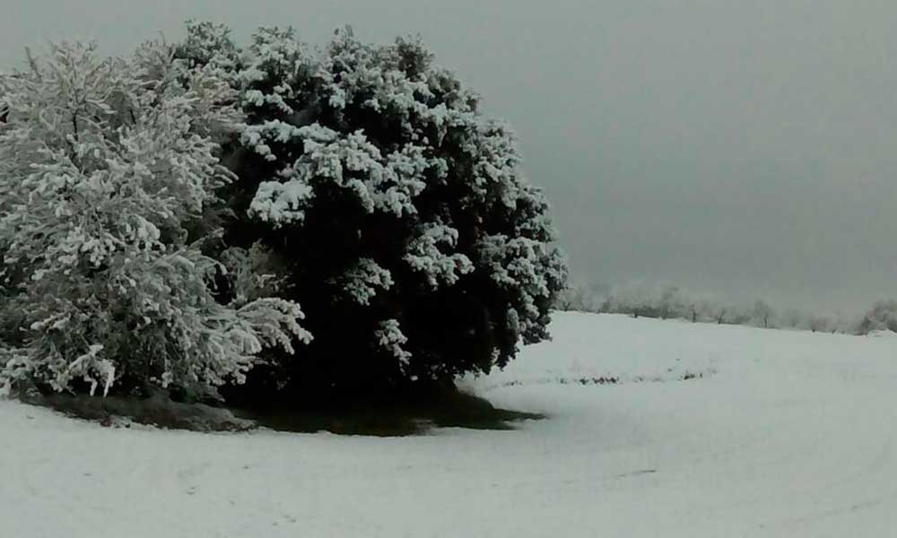 Imagen correspondiente a un episodio anterior de nevadas en Arnedo