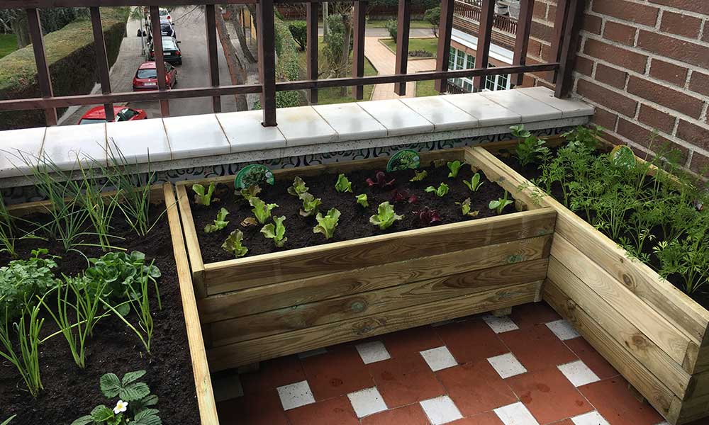 Uno de los huertos urbanos instalados por La Huertoteca