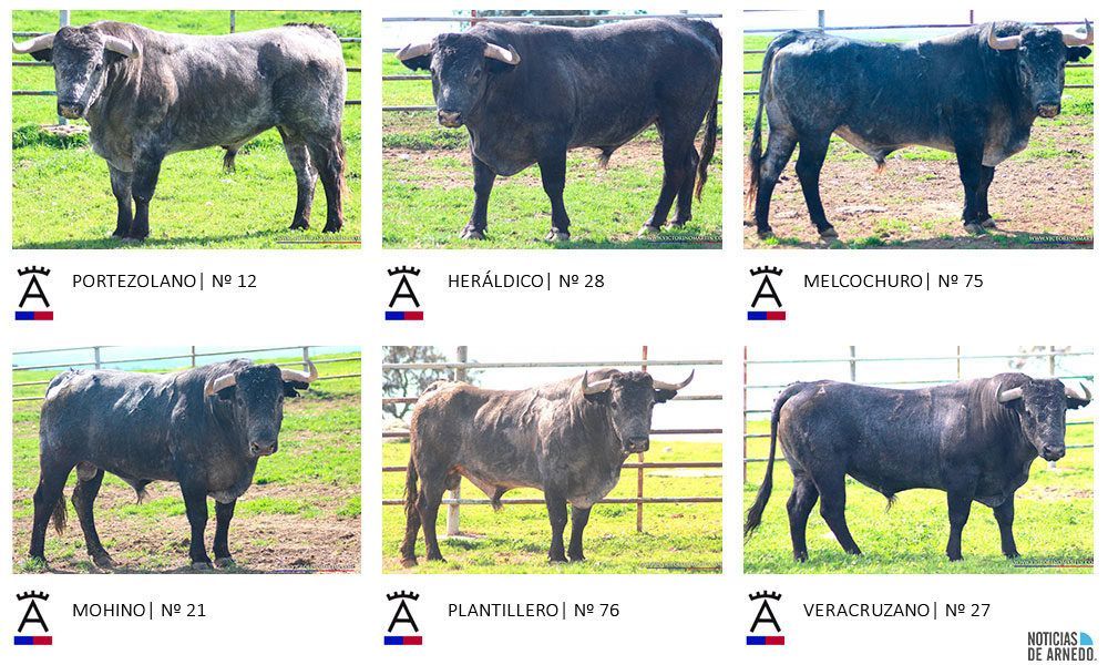 Los seis toros de Victorino Martín que se lidarán en Arnedo el 18 de marzo