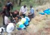 Foto de Asociación Profesional de Agentes Forestales de La Rioja | Rescate de trabajador herido