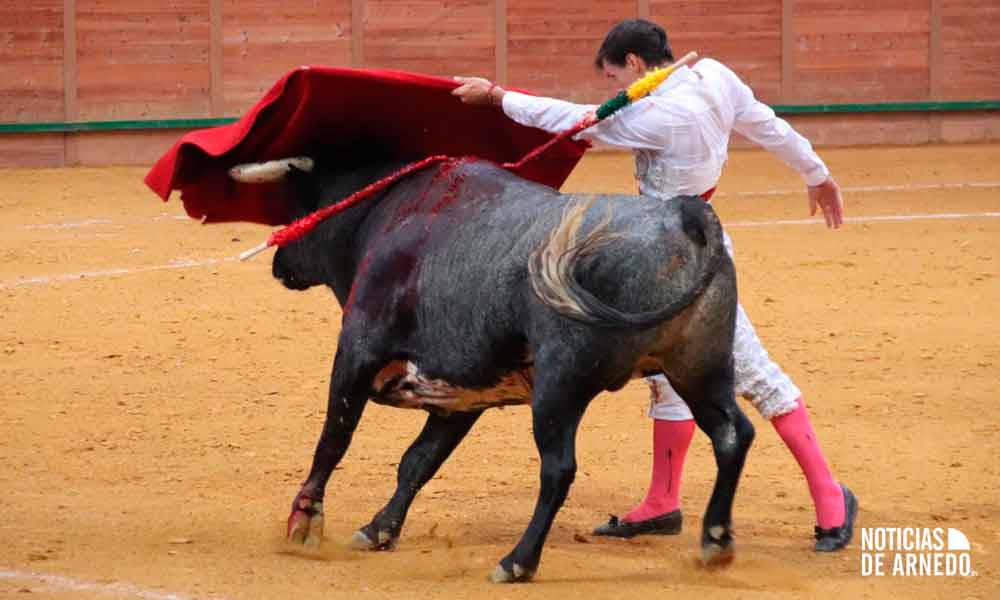 Novillero Francisco Montero con novillo "Mediapala" de Partido de Resina en el Arnedo Arena