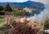 Incendio de vegetación en Avenida del Cidacos de Arnedo