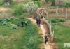 Zona agrícola de Arnedo donde ha resultado herida una persona
