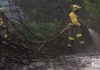 Archivo: Bomberos Forestales de La Rioja en un incendio forestal (@BBFFRioja)