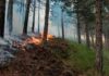Incendio localizado en una ladera de Peña Isasa