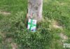 Libro aparecido junto a un árbol de Arnedo en el Día del Libro 2026