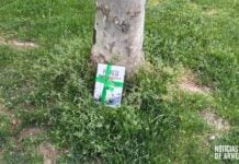 Libro aparecido junto a un árbol de Arnedo en el Día del Libro 2026